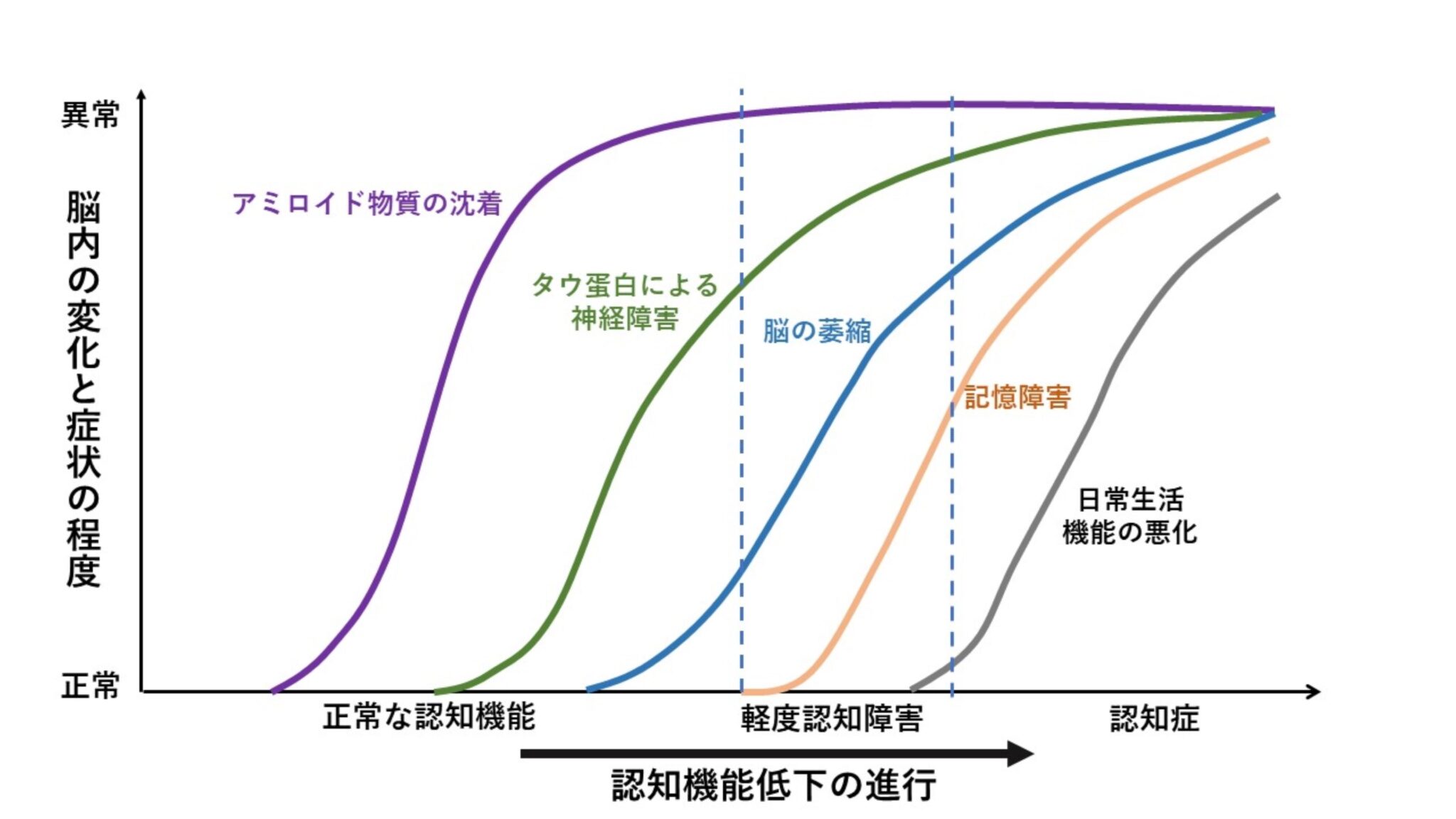 認知症と認知機能の関係 , 認知症の基礎知識【教えて!認知症予防】 – BHHMW